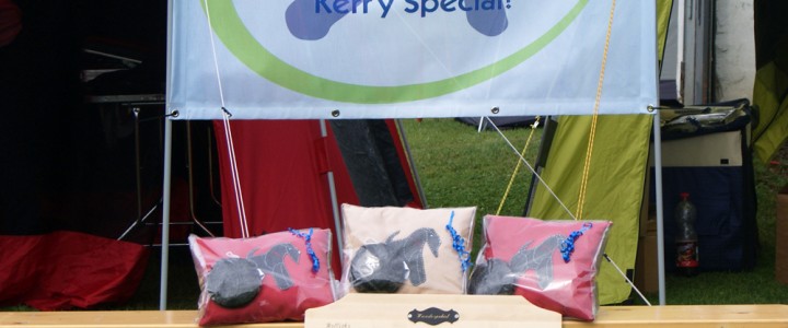 Kerry Special 2015